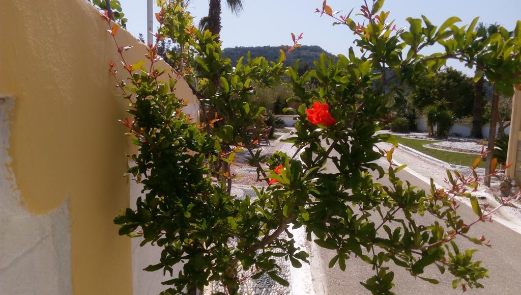 Mosaic Gardens Apartamento Faliraki Exterior foto