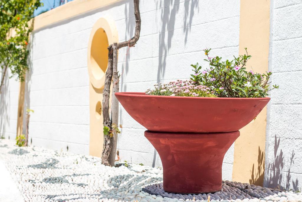Mosaic Gardens Apartamento Faliraki Exterior foto